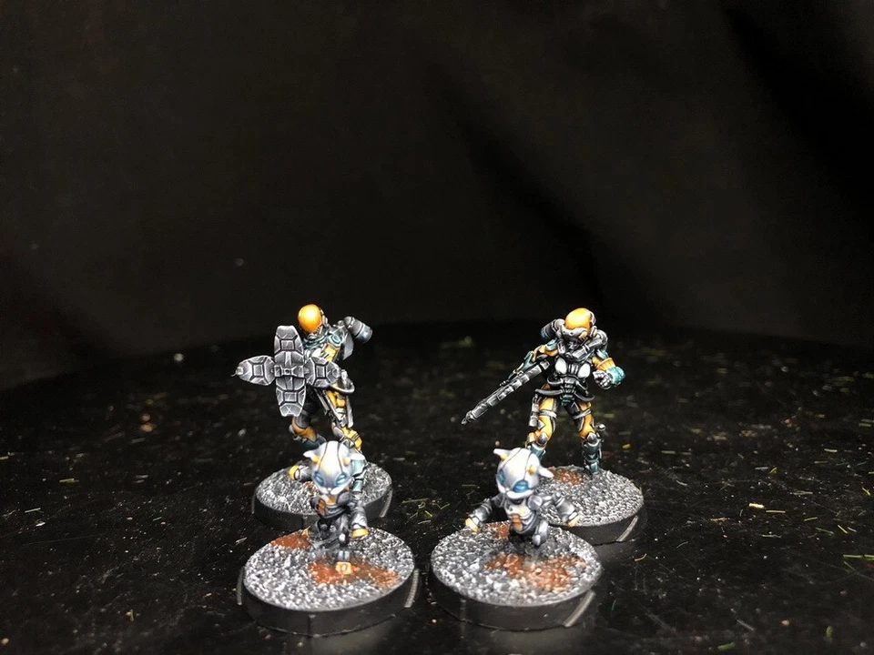 30mm Infinity DPS Painted Yu Jing Tiāngǒu Orbital Activity Squad  INF653 - image 1 of 4