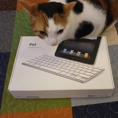 Nuevo teclado y base Apple iPad modelo A1359 Foto 1 de 2