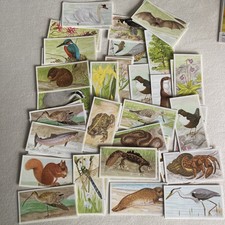 BROOKE BOND TEA CARDS A JOURNEY DOWNSTREAM 1990 FULL SET OF 25 Plus Duplicates