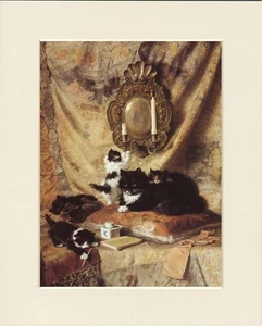 CAT PRINT BEAUTIFUL BLACK & WHITE CAT AND HER KITTENS - Picture 1 of 1