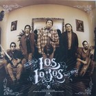 LOS LOBOS "THE BEST OF, WOLF TRACKS" POSTER -1980