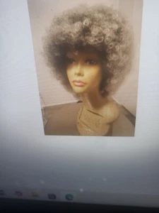 Janet collection full Gray Afro Wig Synthetic - Picture 1 of 3