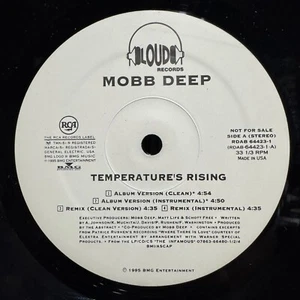 MOBB DEEP - TEMPERATURE'S RISING / REMIX / STILL SHININ' (12") 1995!!! RARE!!! - Picture 1 of 2