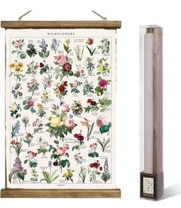Vintage Wildflowers Poster Botanical Wall Art Prints Colorful Rustic Style of - Picture 1 of 5