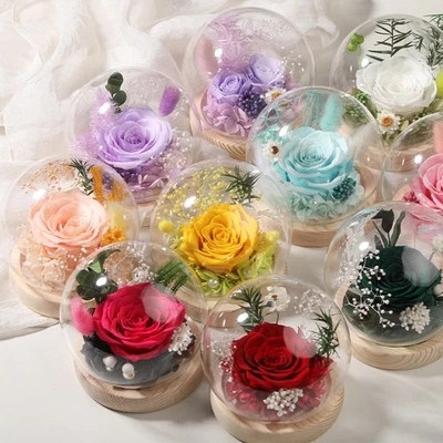 Rosa real preservada en cúpula de cristal, regalo eterno para su aniversario de San Valentín Foto 1 de 4