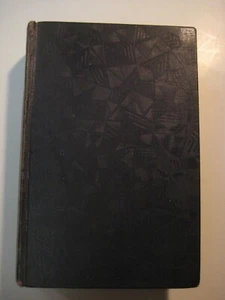 Andrew Johnson Plebeian & Patriot Robert W. Winston 1928 Original HC Buch - Bild 1 von 7
