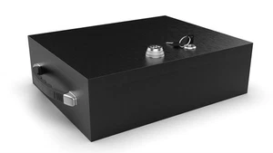 Cassetta di sicurezza ignifuga forte, doppia combinazione e serratura a chiave - Foto 1 di 9