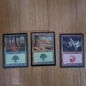 Basic Land Foil Card Set Odyssey Starter Pack Hard Case - Picture 1 of 1