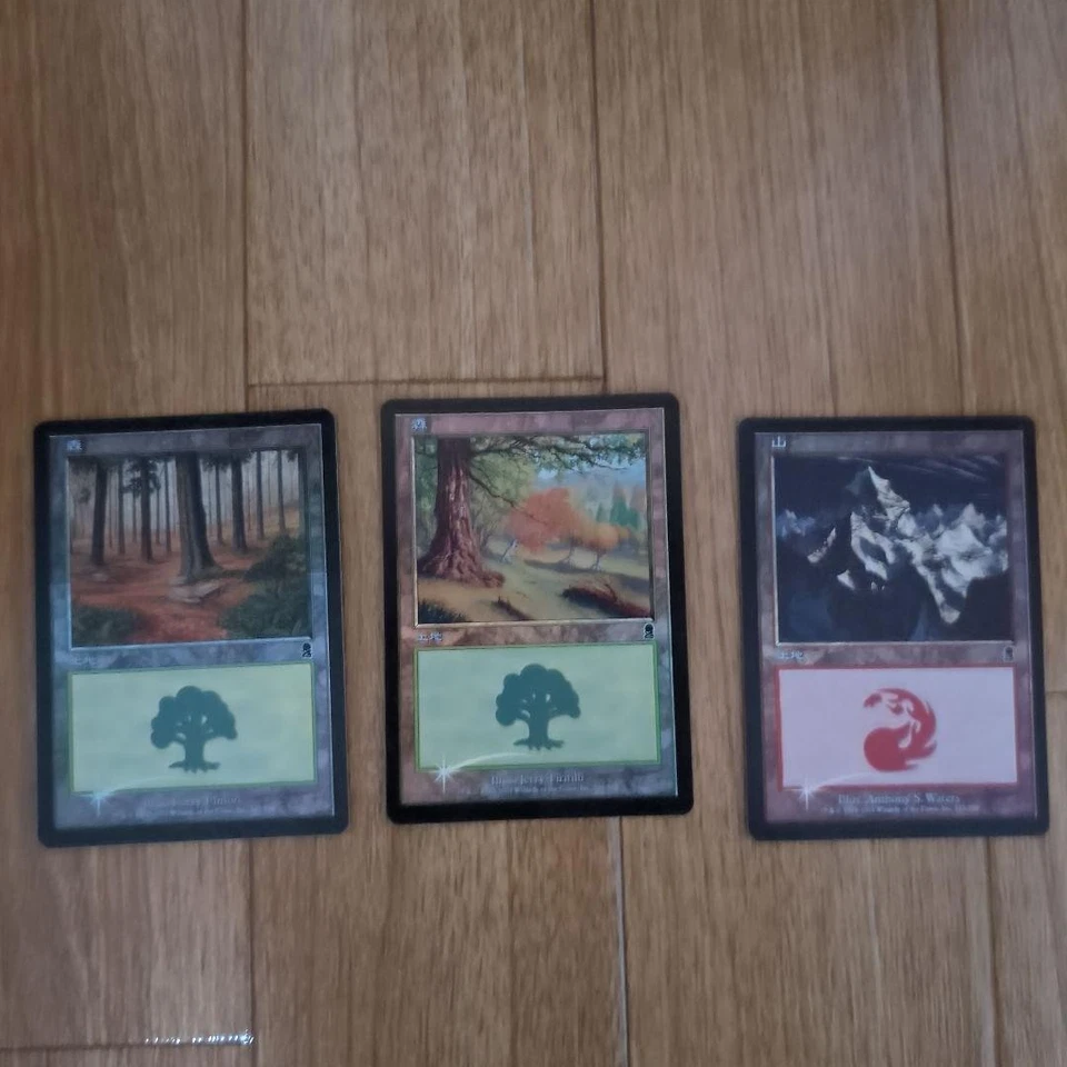 Basic Land Foil Card Set Odyssey Starter Pack Hard Case - Image 1 of 1