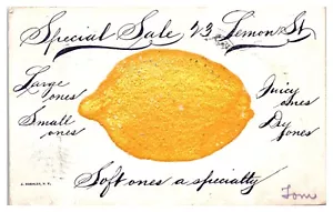 Special Sale 23 Lemon St Softness A Specialty c1907 Postcard - Picture 1 of 2