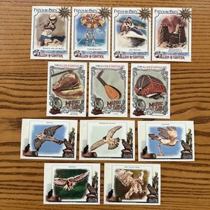 (12) Verschiedene 2023 Allen & Ginter Talonted Fun in Sun & Music to Ears Einlagen - Bild 1 von 13