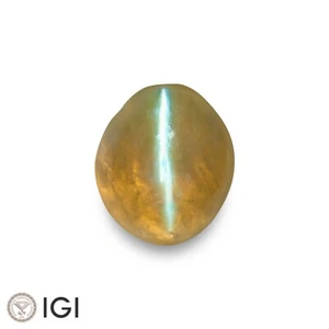IGI Certified CEYLON Chrysoberyl Cat's Eye 2.48 Ct. Natural Untreated HONEY Oval - Picture 1 of 8