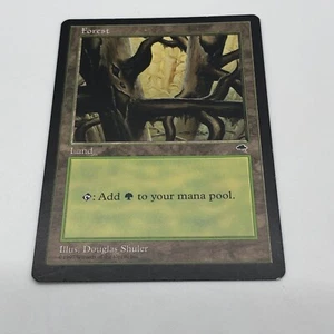 Magic The gathering Forest Ledge Tempest Land Illustrator Douglas Shuler - Picture 1 of 10