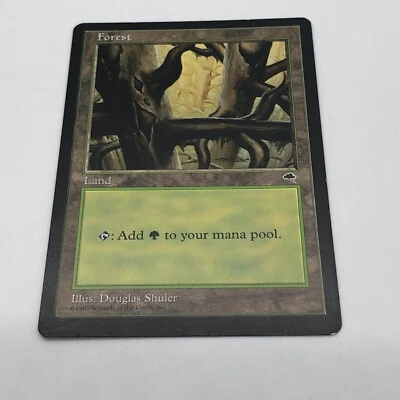 Magic The gathering Forest Ledge Tempest Land Illustrator Douglas Shuler - Image 1 of 4