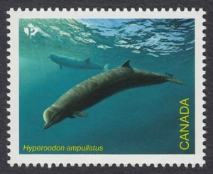 Canada 2022 * ENDANGERED WHALES * BOTTLENOSE WHALE * Single from Souvenir Sheet - Picture 1 of 1