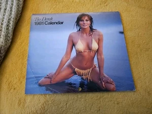 Calendario Bo Derek 1981 colore completo 12 mesi 13"x 11" vintage *leggi* - Foto 1 di 9