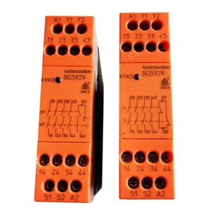 2 piezas Relé de seguridad DOLD BG5929 24VDC usado - Imagen 1 de 1