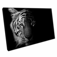 Tiger Face Detailed Black And White Big Cat Wild Animal Photography Print Canvas
