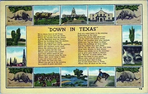 Postal de Down In Texas T6 sin publicar - Imagen 1 de 2