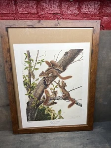 Impresión 16 x 20 firmada por Ardillas Rojas del Artista Americano de Vida Silvestre Jim Oliver - Imagen 1 de 5