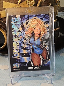 Tarjeta UD Skybox Metal Universe Batman RAVE Z-Force Z41 2025 - Canario Negro/100 - Imagen 1 de 4