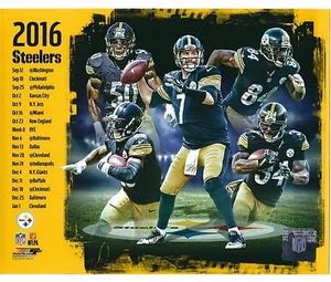 Pittsburgh Steelers 2016 NFL Team Composite Photo  (Size 8" x 10") - Picture 1 of 3