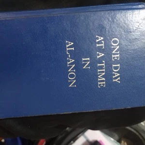 One Day At a Time in Al-Anon Alcohol Recovery AA Blue Hardcover 2000 Small Size - Bild 1 von 12