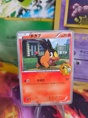 Pokemon Karte Card Tepig Floink BW Promo Championship Black Star japanese NM- - Bild 1 von 4
