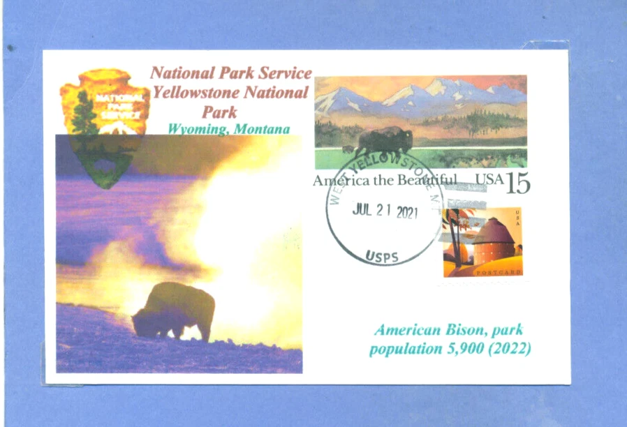 YELLOWSTONE NATIONAL PARK Bison,Geyser Steam,Color Photo, Bison UX-120 PostCard - Image 1 of 1