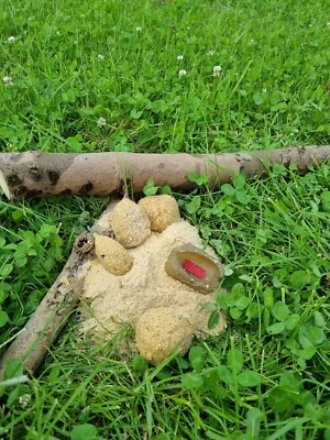 VITA- KARPFEN Angeln, Karpfen, Feeder Futter ANANAS 10 kg