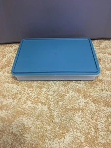 TUPPERWARE Aufschnittbehälter 13 Zoll x 9 Zoll transparenter Boden grünes Siegel - ESSENTIAL Brownies NEU - Bild 1 von 10