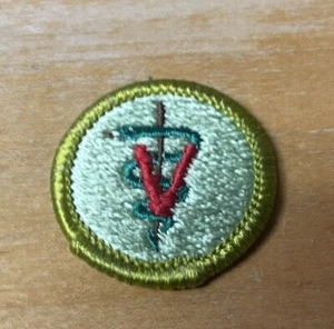 BOY SCOUT VETERINARY SCIENCE/MEDICENE TYPE H PLASTIC BACK NEW MERIT BADGE - Picture 1 of 2