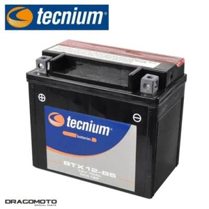 ✅ Batteria PIAGGIO VESPA GTS 300 2008 2009 Tecnium YTX12-BS BTX12-BS - Foto 1 di 3