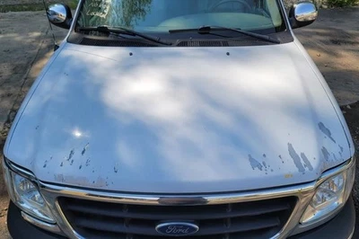 Hood Heritage Header Mounted Grille Fits 99-04 FORD F150 PICKUP 2096764 Foto 1 de 4