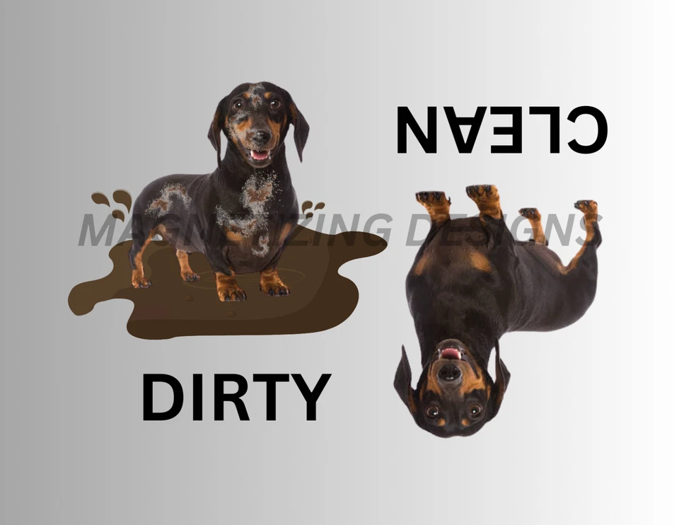 Imán flexible para lavavajillas DACHSHUND Clean Dirty Foto 1 de 1