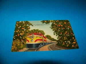 FF77 Streamliner fährt durch einen Orangenhain in Florida Eisenbahn Postkarte - Bild 1 von 2