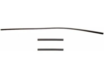 Juego de sellos antipolvo cubierta de distribución para Mazda B2300 1994-1997 Felpro 44759JS 1996 1995 Foto 1 de 2