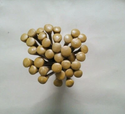 Preciosos 25 palos doplantes de madera con cera epoxi para cortar y facetar piedras preciosas Foto 1 de 3