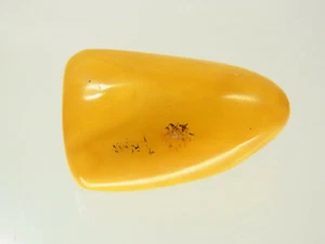 Butterscotch Egg Yolk Amber Bernsteinbrosche 4,8 Gr. aus Bernsteinsammlung - Bild 1 von 5