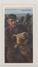 1989 Brooke Bond Discovering Our Coast Tea Gweek Seal Sanctuary #31 h3a