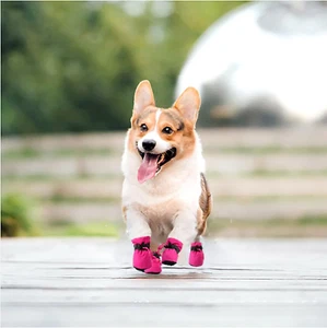 Dog Shoes for Small Dogs, Anti-Slip Dogs Boots & Paw Protector for Winter Sno... - Picture 1 of 7
