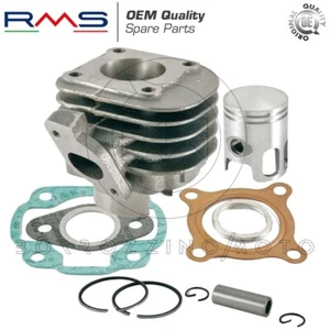 GRUPPO TERMICO RMS OEM MINARELLI ORIZZONTALE D.40 MALAGUTI F12 50 R PHANTOM AC - Foto 1 di 3