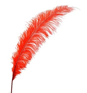 3 ESPADAS DE AVESTRUZ ROJAS BRILLANTES 20-30" PLUMAS de pluma de ala completa; boda/centro de pieza - Imagen 1 de 1