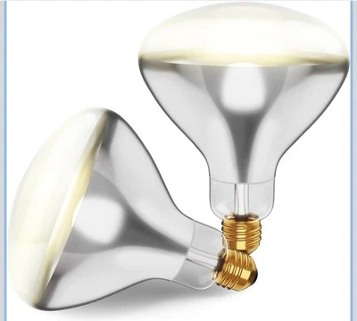 2 Pack 120V 250W R40 Medium E26 Base Clear Heat Lamp - Image 1 of 4