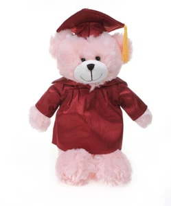 Personalized Pink Bear Plush Stuffed Animal Toys Gifts for Graduation Day 12inch - Picture 1 of 5