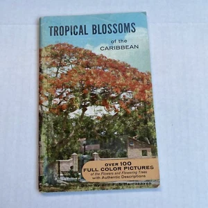 Tropical Blossoms Found In The Caribbean, South America, Central America, Mexic - Picture 1 of 4