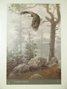Shrouded Forest (Detail) Daniel Smith Kunstdruck Poster Adler Tierwelt 24x36 - Bild 1 von 12
