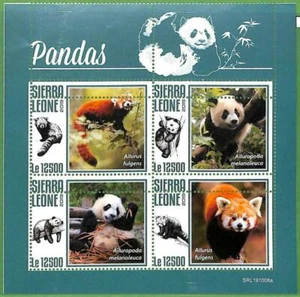A2584 - SIERRA LEONE - ERROR: MISPERF Hoja miniatura - 2019, Osos Panda - Imagen 1 de 1