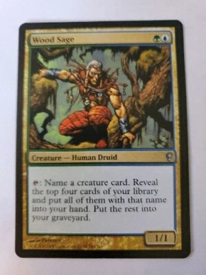 MTG Magic The Gathering Card Wood Sage Creature Human Druid Green Blue Conspirac - Image 1 of 2
