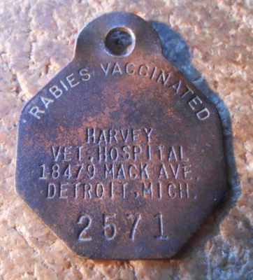ETIQUETA METÁLICA VACUNADA CONTRA LA RABIA PERRO DETROIT, MICH ENVÍO GRATUITO Foto 1 de 2